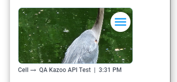 images1.png
